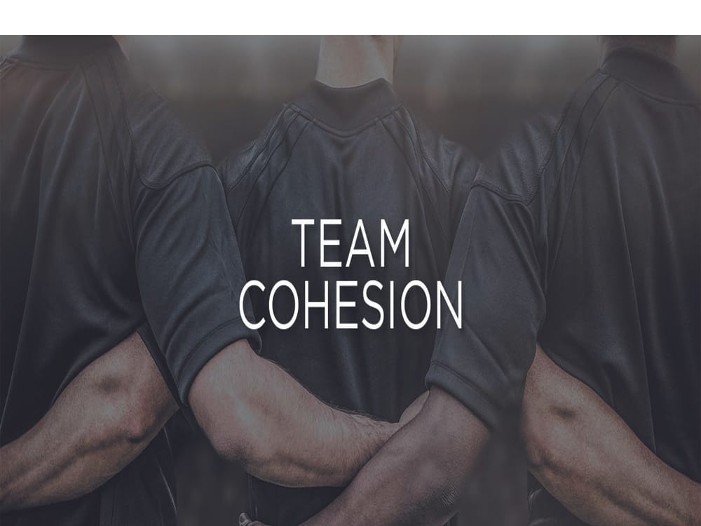 Online team cohesion games