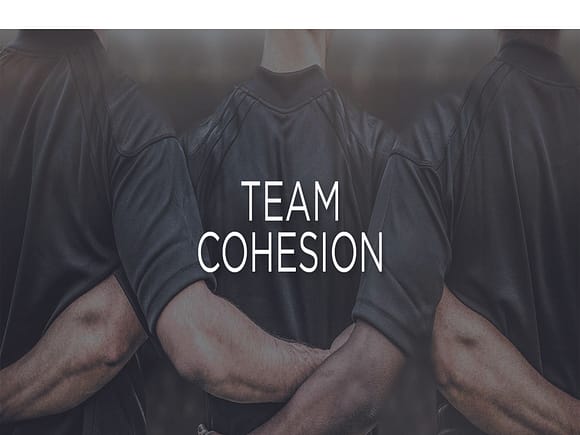 Online team cohesion games